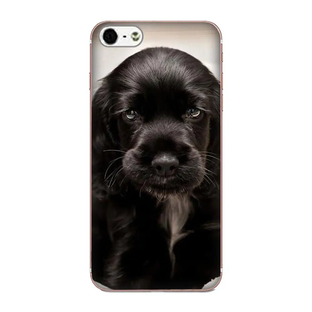 Cocker Spaniels щенки собаки прозрачный мягкий чехол для Apple iPhone X XS Max XR 4 4S 5 5C 5S SE 6 6S 7 8