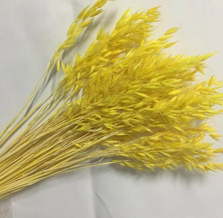 -yellow