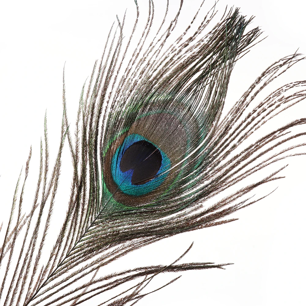 

10PCS 25-30cm Natural peacock feather Diy Gifts Diy jewelry Decor Feathers fittings For DIY Clothes Decoration Wedding Party