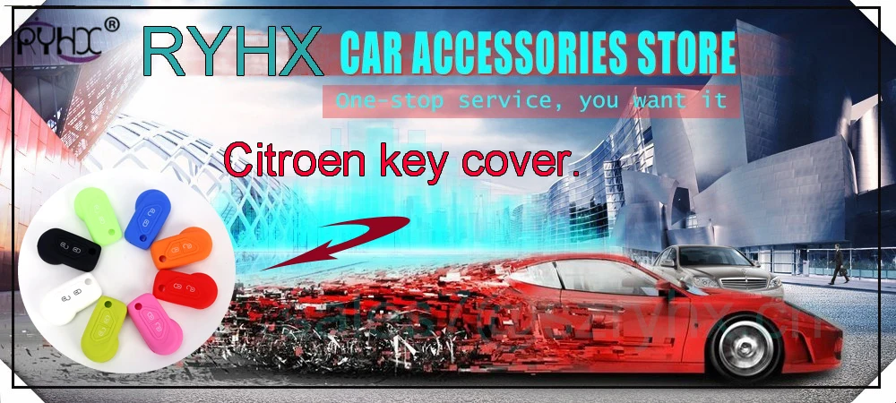 Citroen key cover49