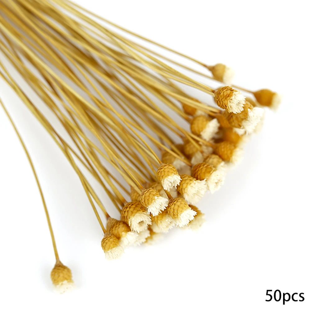 

50Pcs/Set Home Decor Natural Dried Flower Bouquet Decorative Dried Flowers For Decoration In Vase Wedding Party Photography Prop