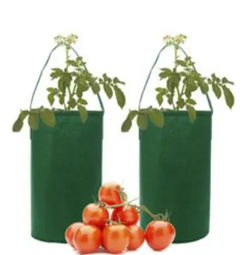 EYU-1 colors fang Black Thickening Fabric Pot Plant Pouch Root Container Grow Bag Tools Garden Pots Planters Supplies | Дом и сад