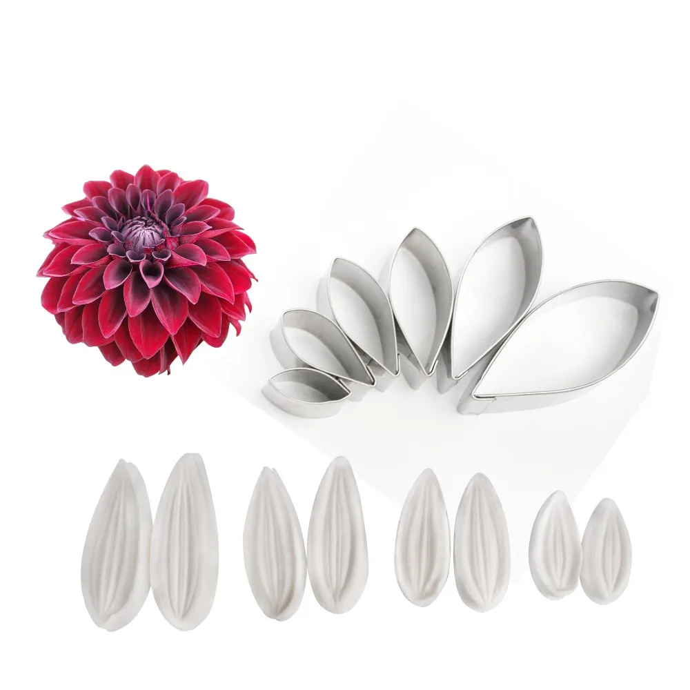 Dahlia-2