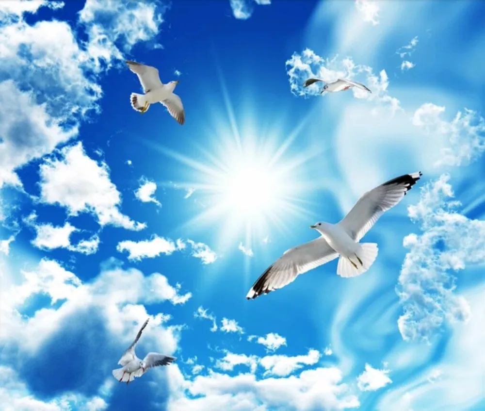 QQ20180529180739
