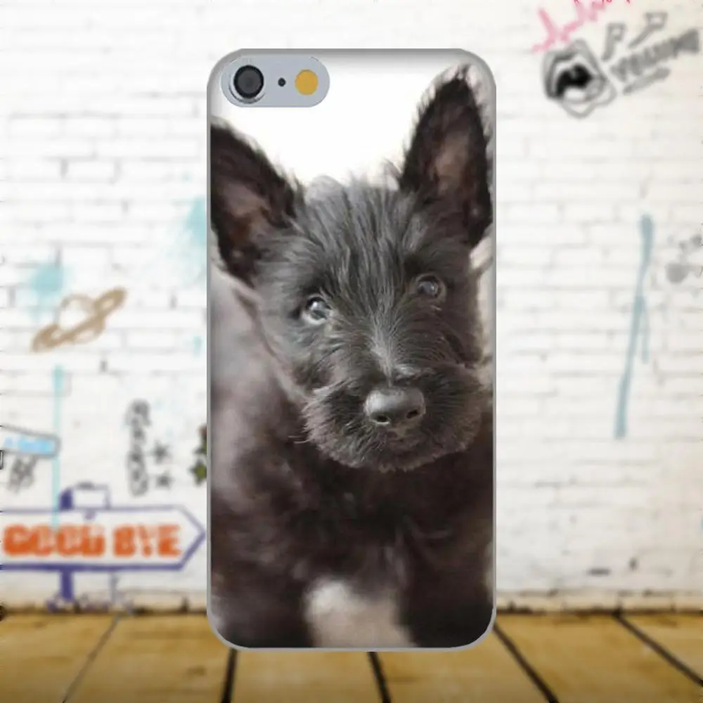Шотландского терьера Собака Щенок щенков для Apple iPhone X 4 4S 5 5C 5S SE 6 6S 7 8 плюс LG G3 G4 G5 G6