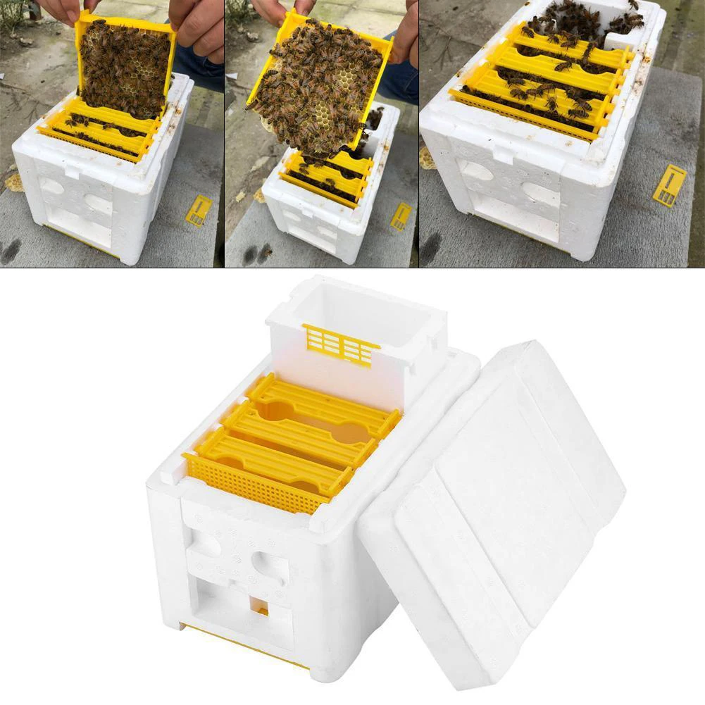 Урожай пчелиный улей Пчеловодство королевская коробка Pollination Box пены рамки