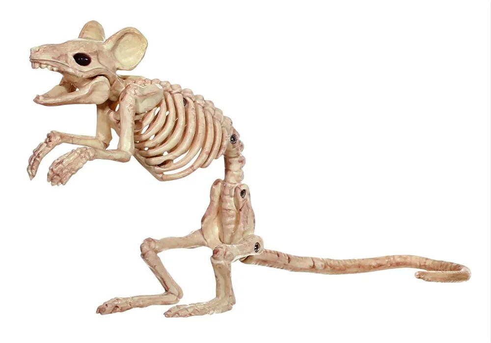 Жуткий скелет Крыса Мышь Мыши скелет кости для ужасов Хэллоуин вечерние украшения для дома аксессуары украшения - Цвет: 1