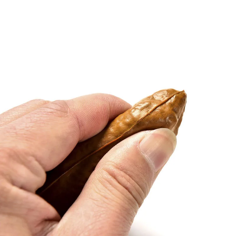 面白いジョークギャグ,11x6x3.5cm - AliExpress