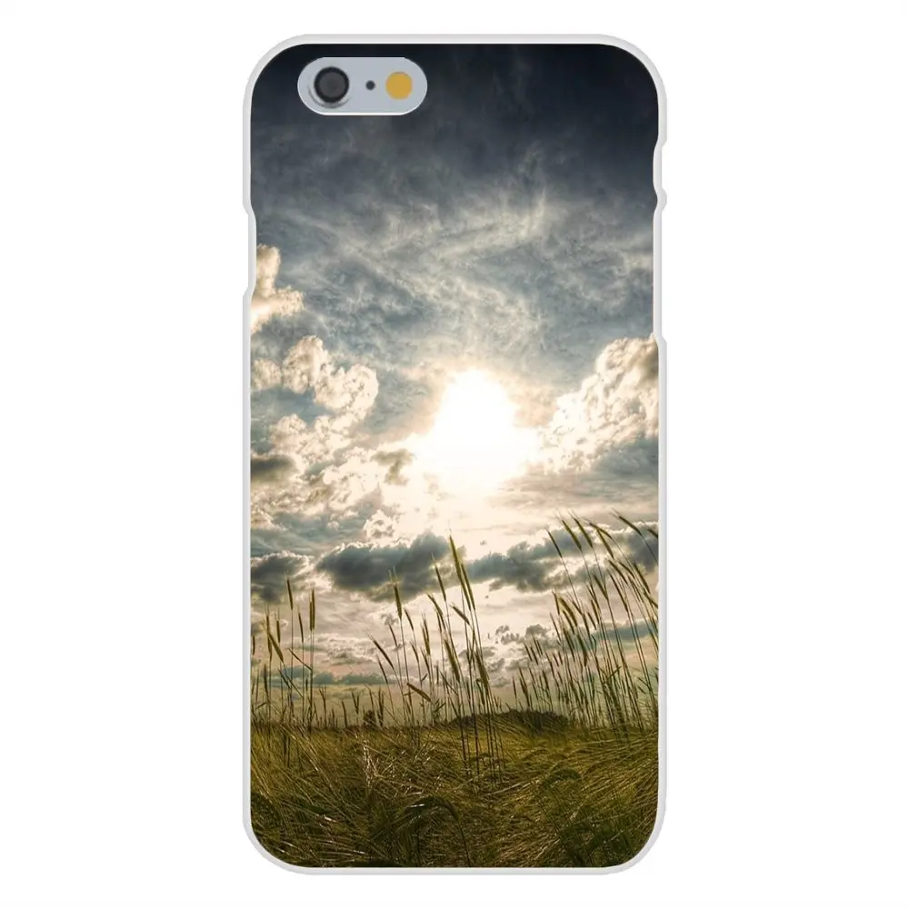 20121222182422_Mi2Qc.thumb.700_0