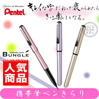 

Pentel Brush Pen Portable Pocket Refillable Calligraphy Pen Metallic Gold Pastel Color Japan