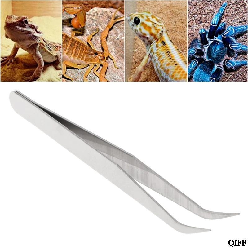 

Drop Ship&Wholesale Stainless Steel Clip Cleaning Tweezers Pet Ear Grooming Reptile Feeding Supplies APR29