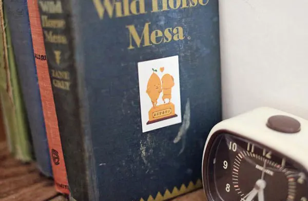 aeProduct.getSubject()