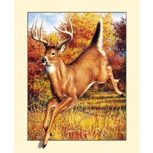 Алмазная живопись на заказ eigen foto птица Сика олень пейзаж 5d Мандала алмазная живопись полный квадрат/круглый фильмы украшение дома