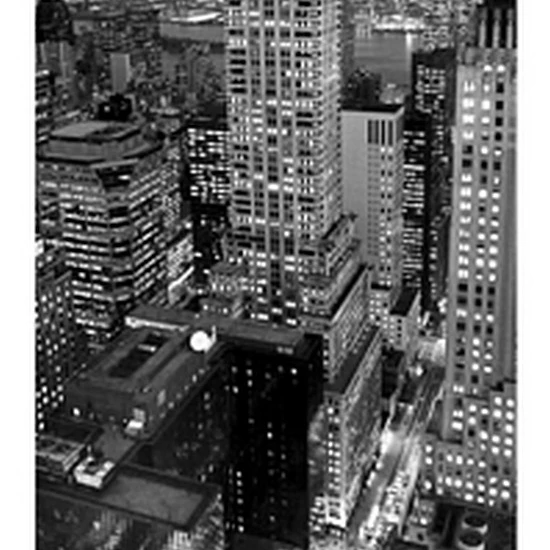 Chrysler Building Poster Print by Henri Silberman (9 x 19)