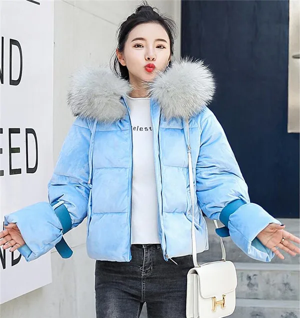 QQ20181122114956