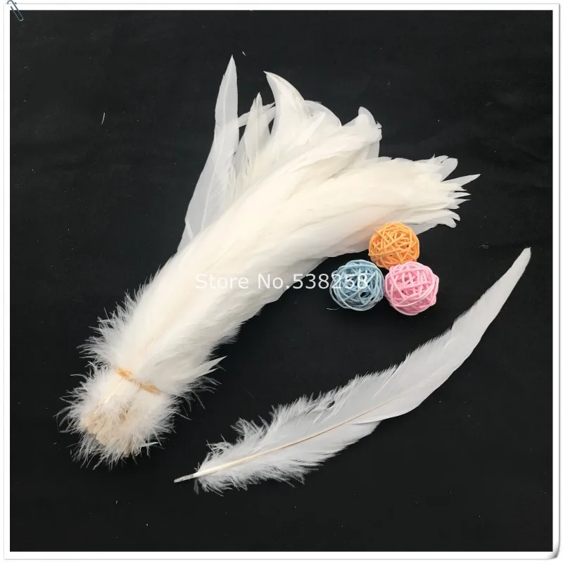 conew_img_8445_conew1