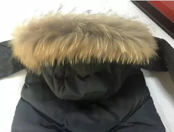 QQ20181015174230