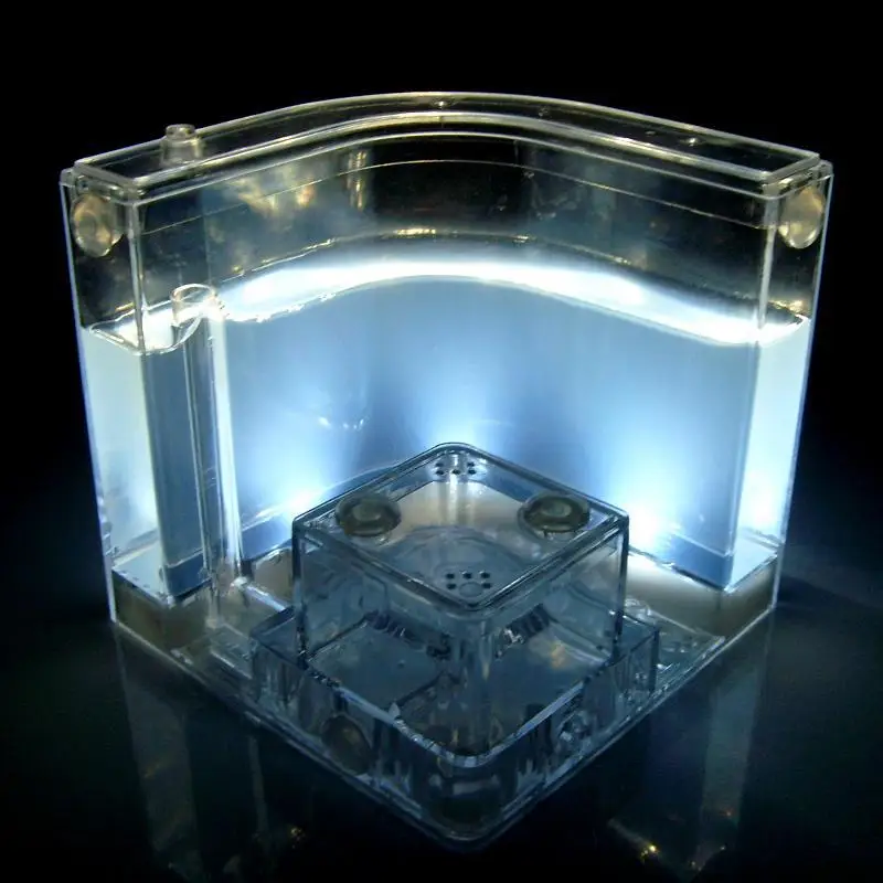 ant-villa-with-led (2)