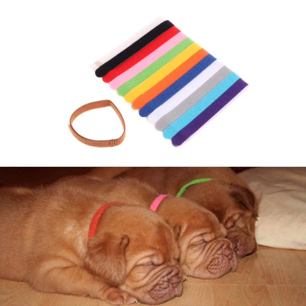 

12Pcs Colorful Whelping Nylon Pets Dog Cat Puppy Collars Soft Adjustable Identification Mark For Cats Dogs Pet Supplies C42