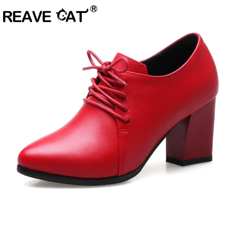cat with high heels