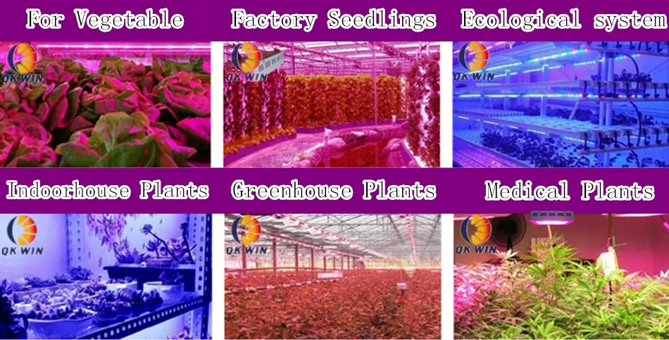 QkwinLED Grow Light logo