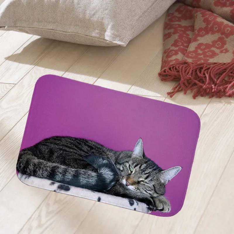 Quality printed cat DoorMats Colorful Spots Carpets for Entrance Door