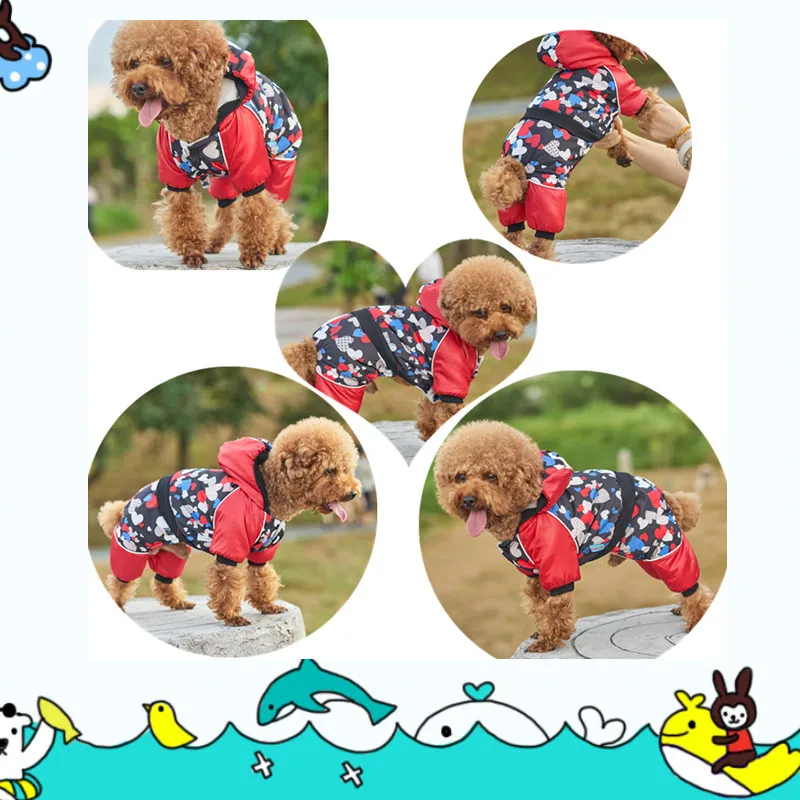 dog coat