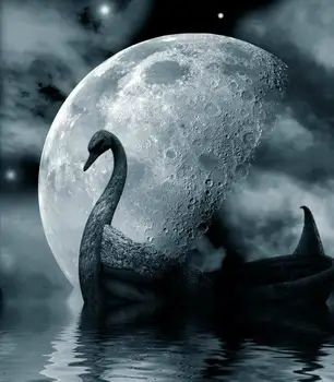 

swan Photography Background Fairy Tale Hallowmas Background Computer Printed Photo backdrops for Photo studio BG-189