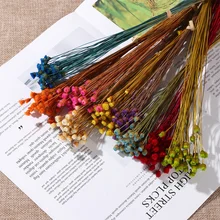 50 шт. натуральный маленький сушеный цветок прессованный высушенный цветы каваи счастливый цветок Мини Декоративные композиции фото декорации