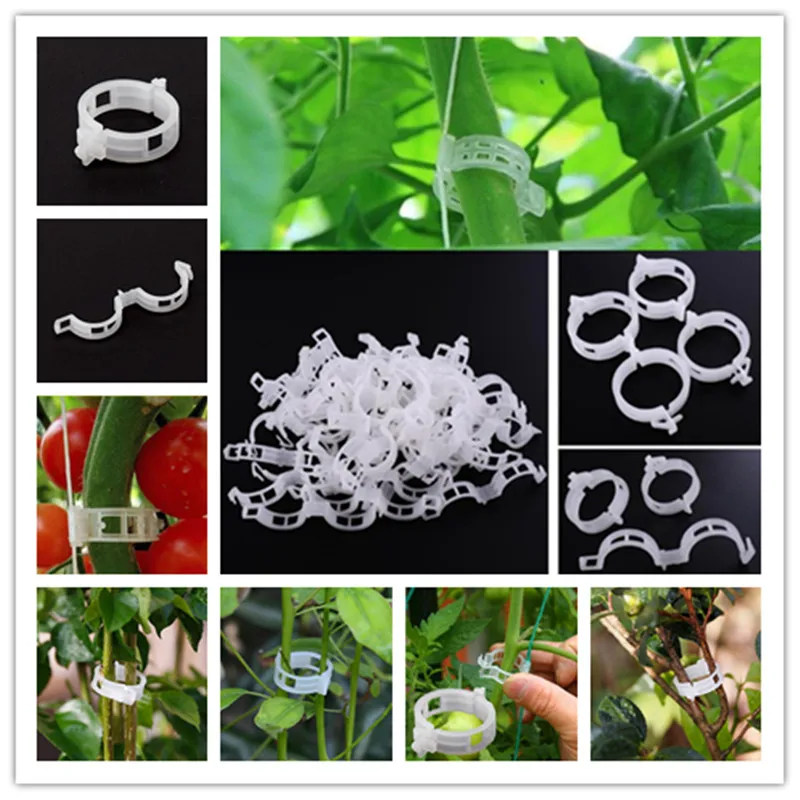 

10-50 Trellis Tomato Clips Supports/Connects Plants/Vines Trellis/Twine/Cages Plant Vine Tomato Vegetable Fastening Clip Garden