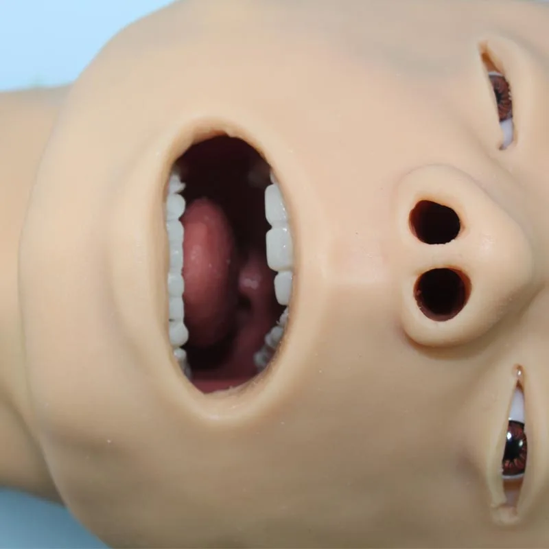 intubation training model  (6)