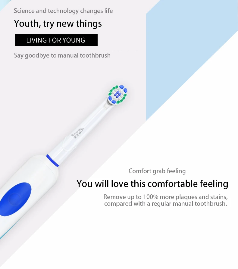electric toothbrush (2)