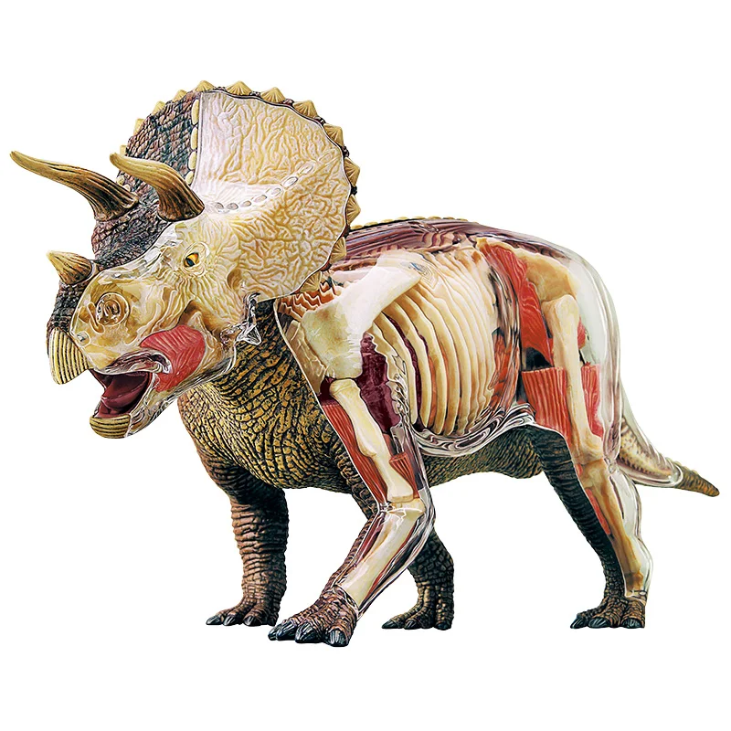 4D большой triceratops интеллект сборка игрушка животный орган, анатомия манекен для медицинского обучения DIY популярная научная техника