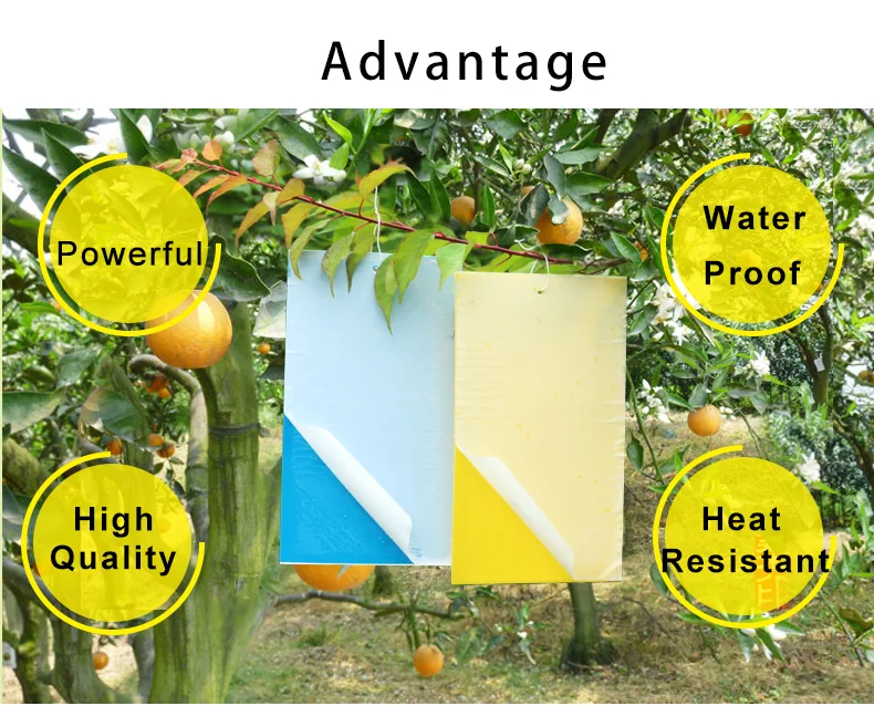 Против вредителей клейкая ловушка Летающая ловушка для ловли мушек против мышей тля белка комаров фруктовая ловушка для ловли мух на открытом воздухе для ресторана растений
