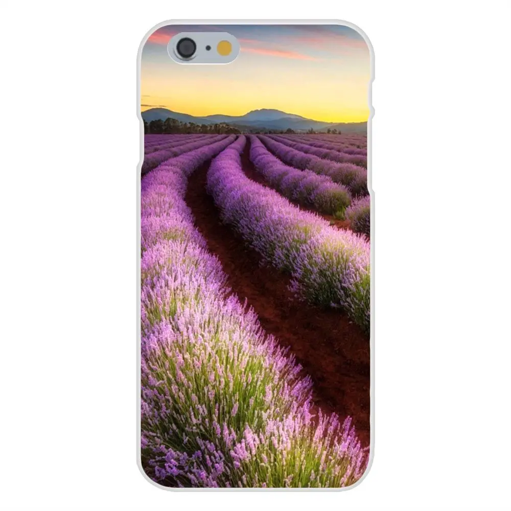 20140821221316_FveR5.thumb.700_0