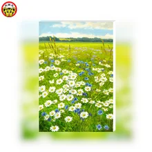 Цветочное поле Радуга океан ветка красочные румяна картины по номерам с масляной окраской по номерам на холсте картина маслом