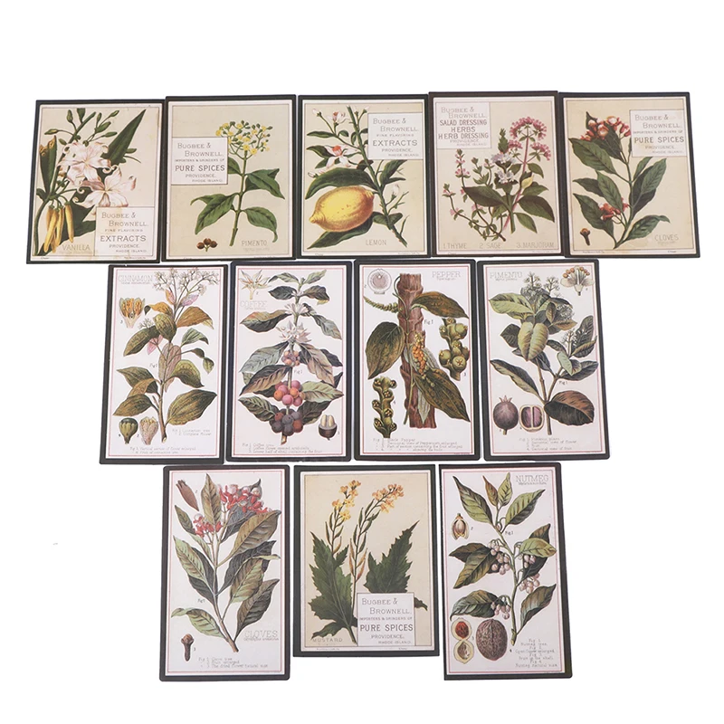

12pcs Vintage flowers Plant cactus diagram fairy tale Tropical Sticker DIY Scrapbooking Sticker