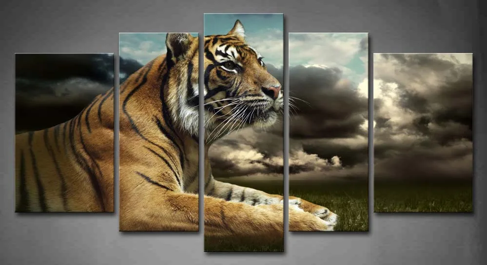 

Framed Wall Art Pictures Tiger Sky Clouds Canvas Print Artwork Animal Modern Posters With Wooden Frames For Living Room