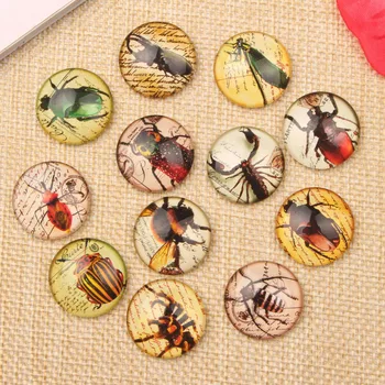 

Mix Insect Bugs Spider Bee Dragonfly Scopion Photo Glass Cabochon 10mm 12mm 14mm 18mm 20mm 25mm for jewelry pendants
