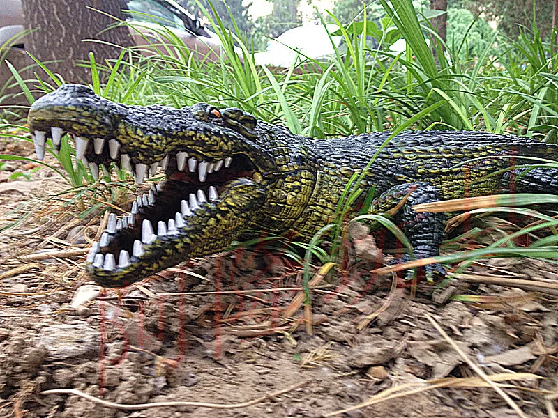 crocodile action figures