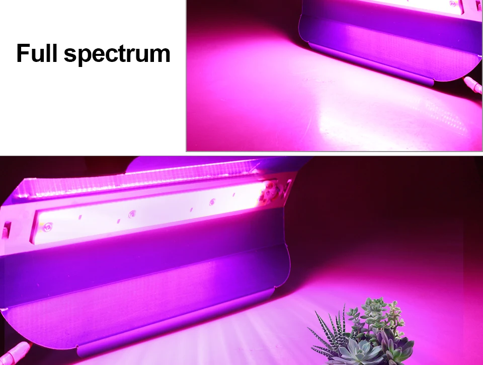 Phyto Lamps (9)