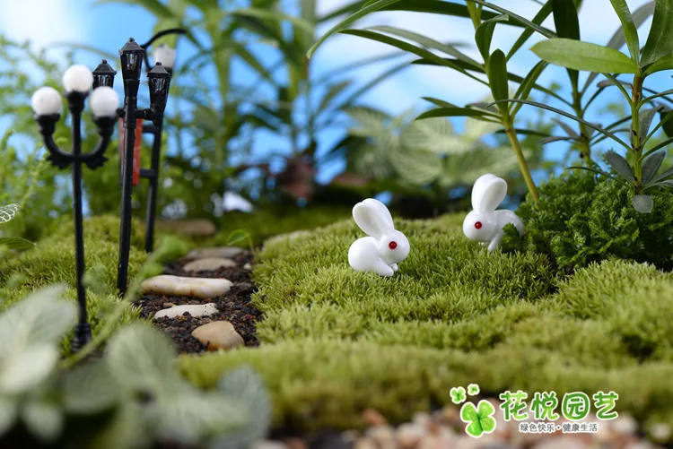 2037072123_394298364