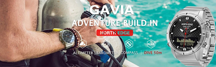 gavia-750