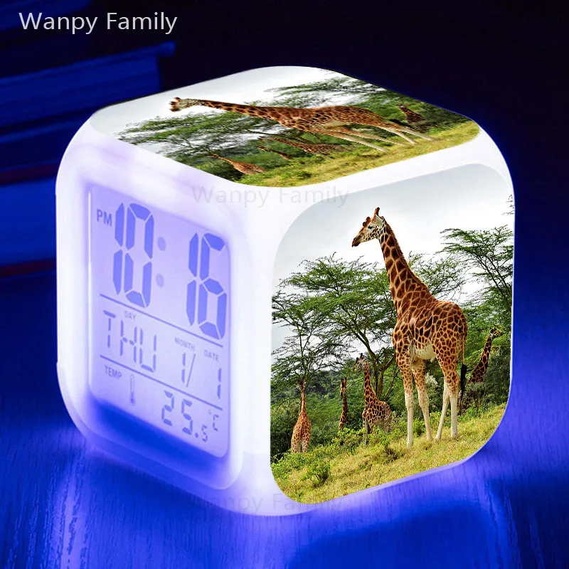 商标7