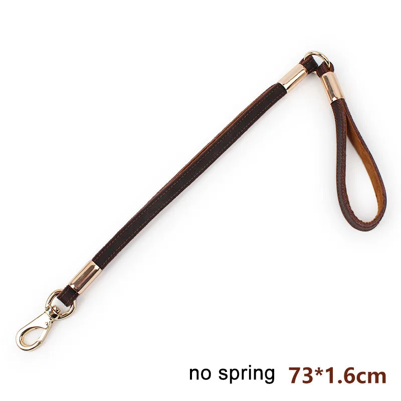 SYDZSW High Quality Dog Leash Pet Traction Rope Double Section Thickening Real Leather Golden Casing Pet Dog Leash Strong Durable10