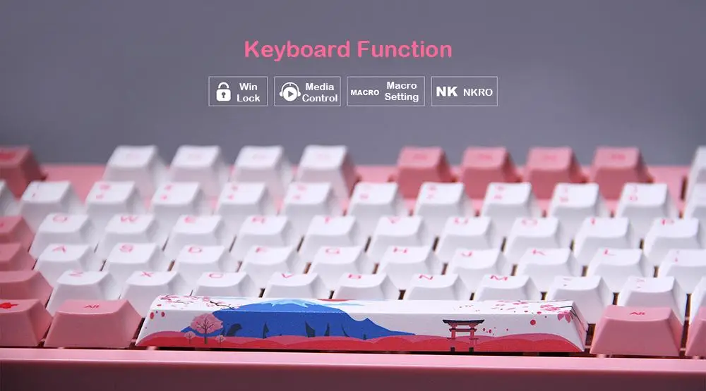 Механическая игровая клавиатура AKKO 3108 V2 108 клавиша PBT Keycap AKKO Розовый Переключатель тип-c Проводная Механическая игровая клавиатура