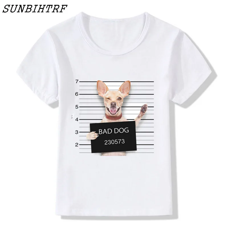 001 -  (275) - 