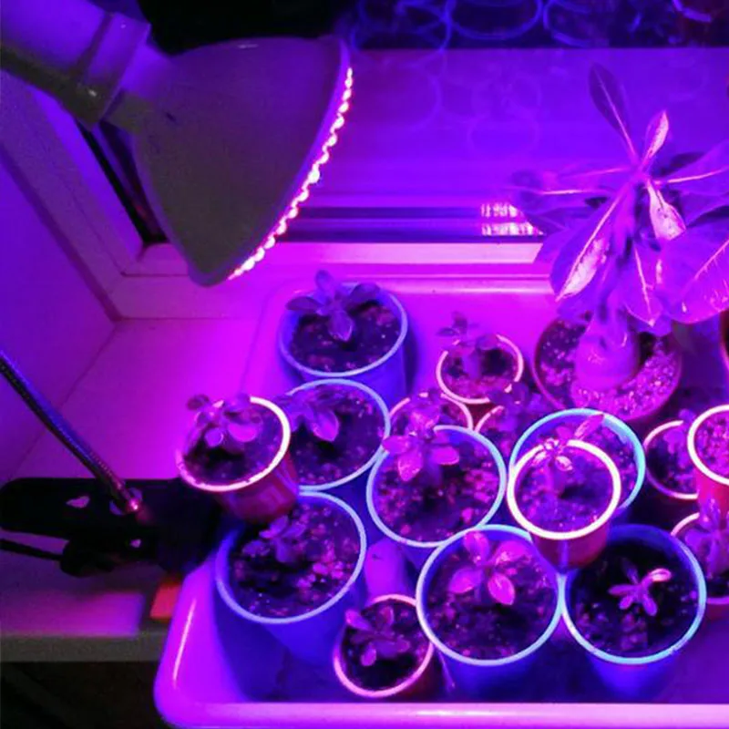 Phyto лампа полный спектр LED растительный свет E27 растительная с зажимом для теплицы