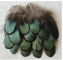 New Arrival! 500pcs/Lot 5-7CM LOOSE DARK GREEN AMHERST PHEASANT FEATHERS freeshipping 70 5 22mm 7cm