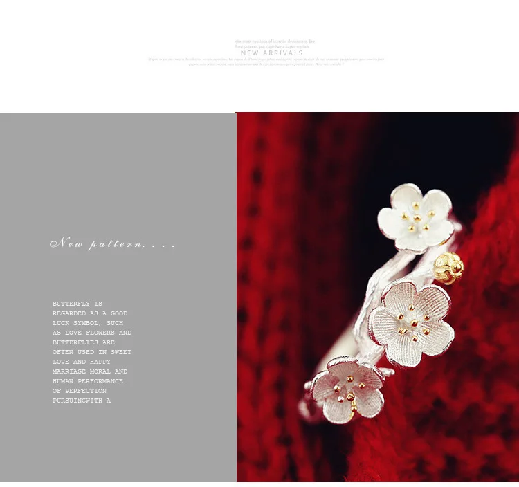 2836727084_1137581325